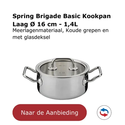 Spring Brigade Basic Kookpan Laag Ø 16 cm - 1,4L